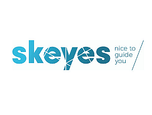 Skeyes
