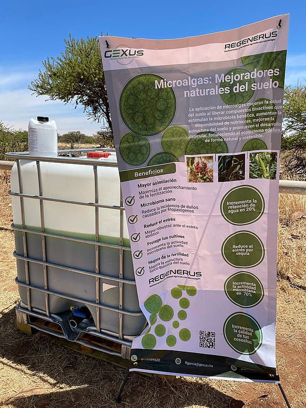 Microalgas para Suelos Resilientes