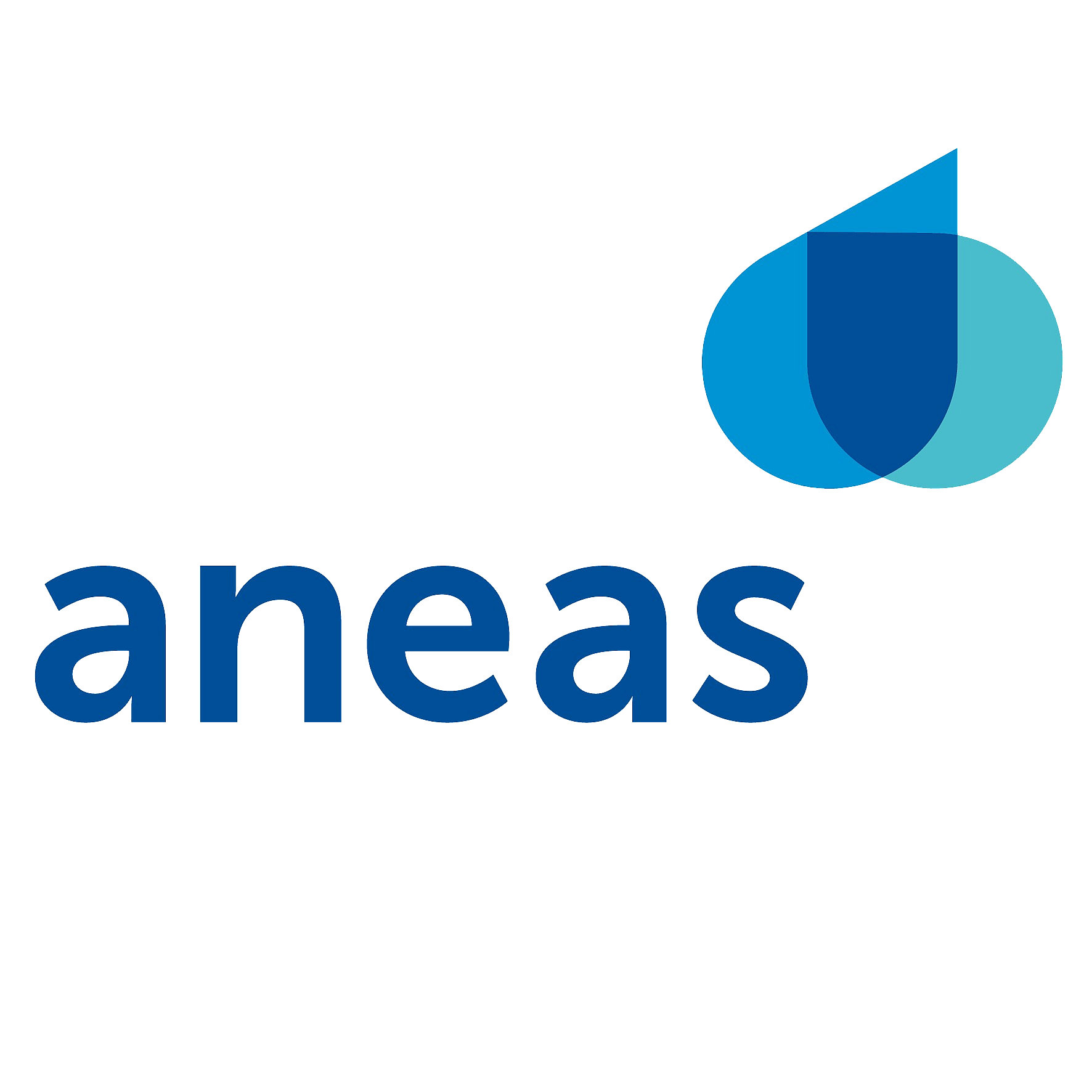 Aneas logo