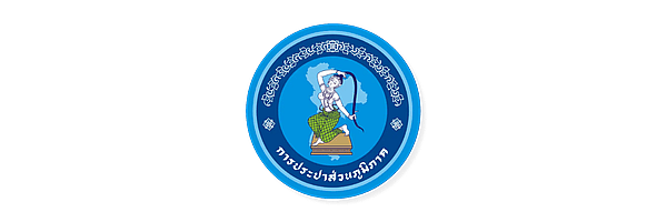 pwa logo
