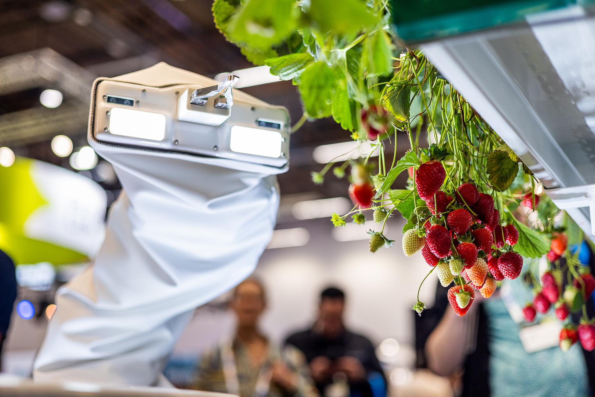 Growing green at GreenTech