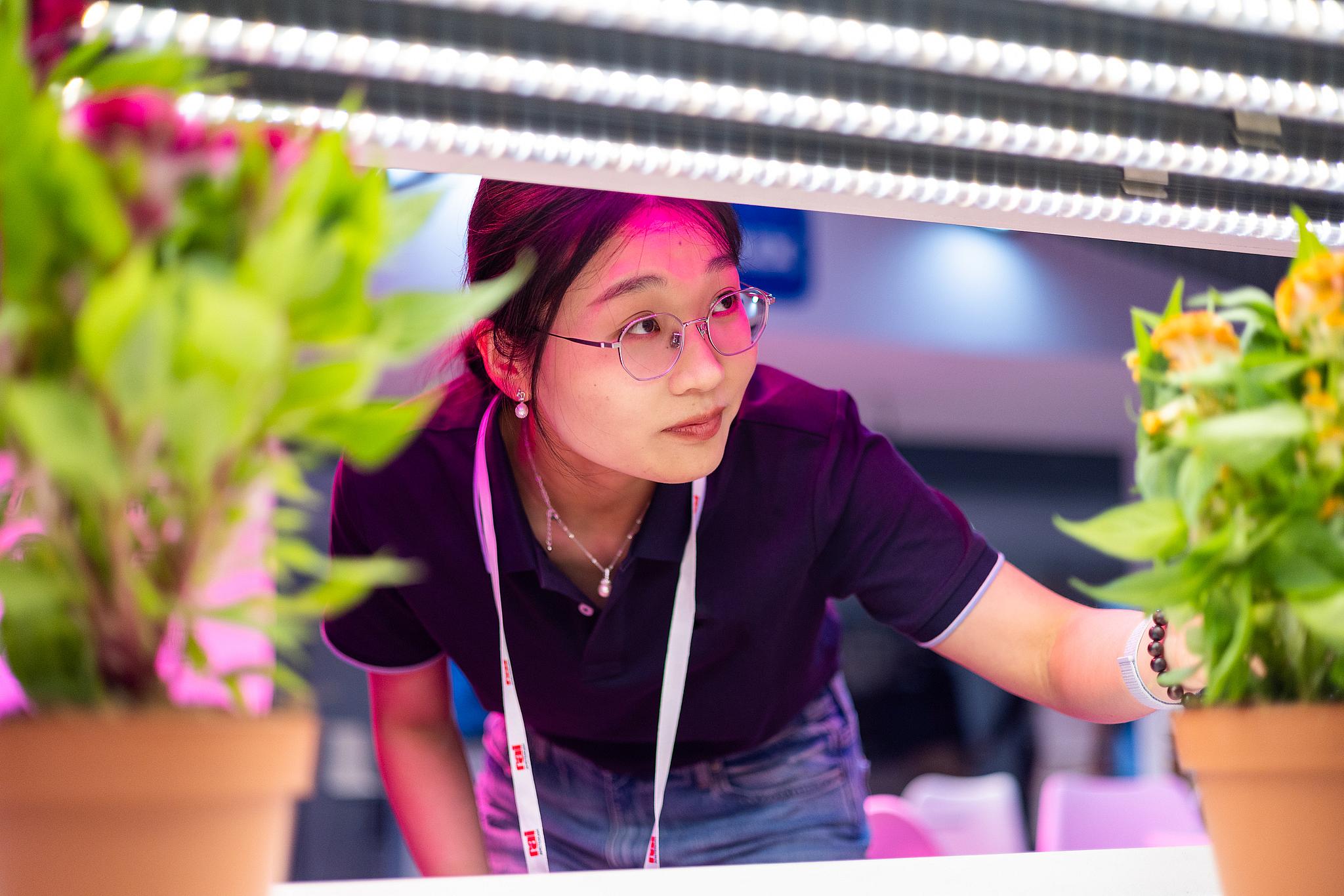 Plants at GreenTech