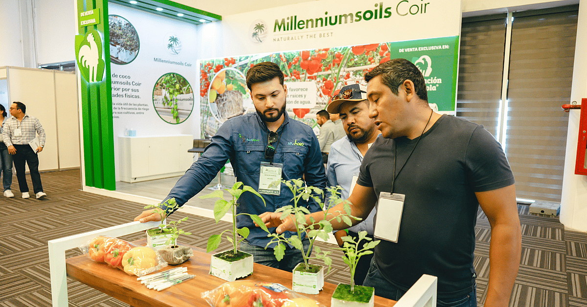 Booth showcasing plants and peppers