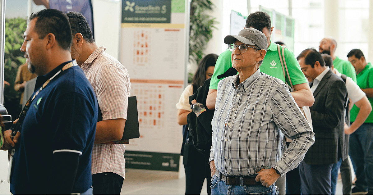Visitors looking around in line