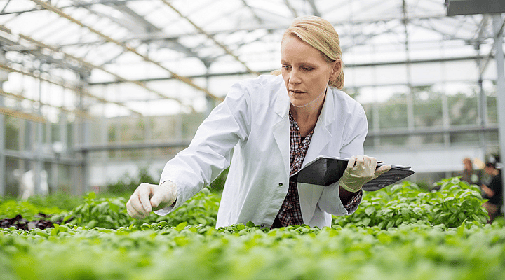Crop protection