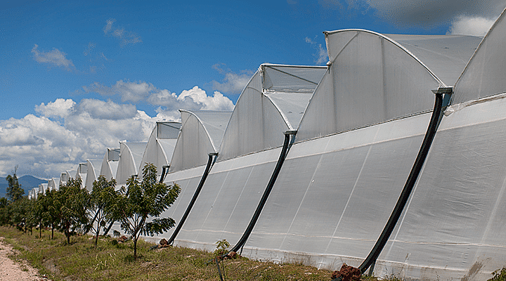 GRA-greenhouse-720x400