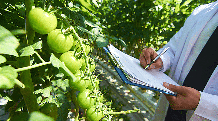 GRA-writing-greenhouse-2-720x400