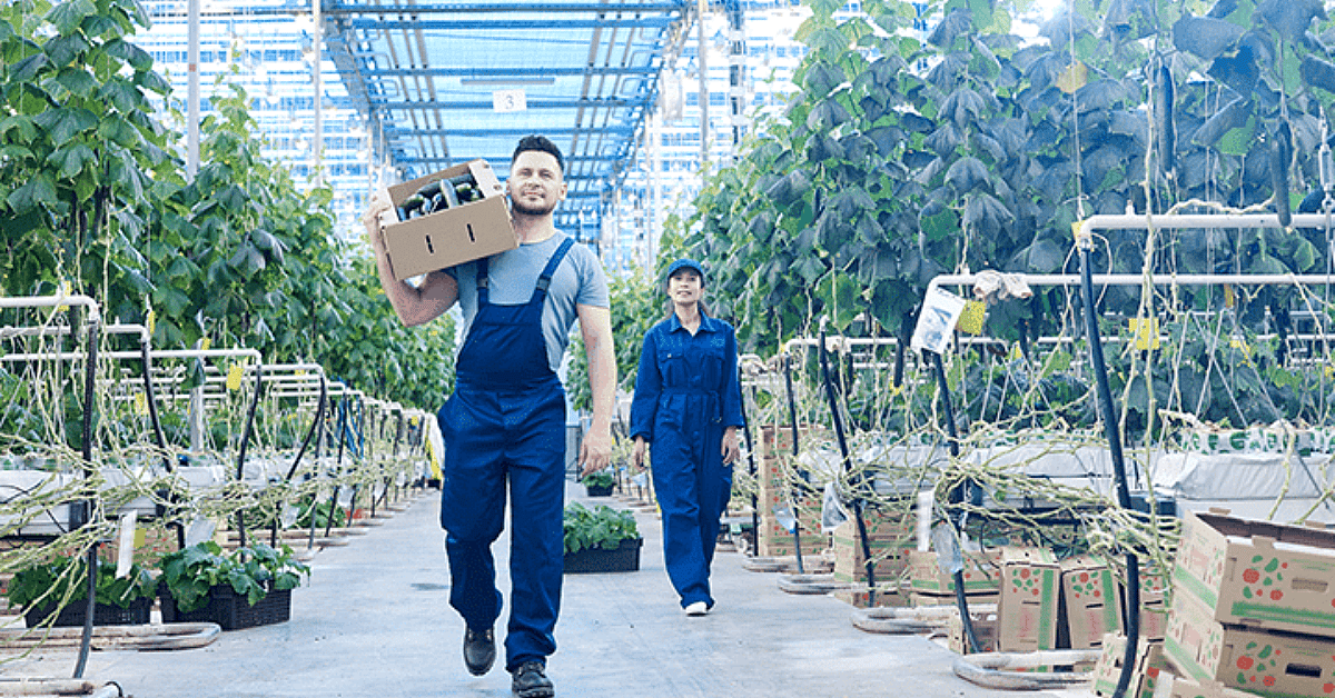 Greenhouse walking