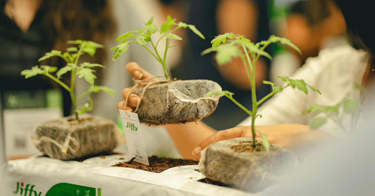 Tiny plants close up