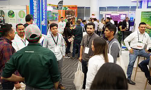 Talking with exhibitors