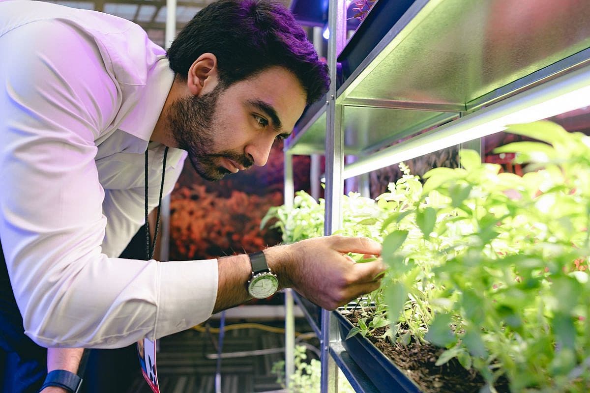 Vertical farming plant
