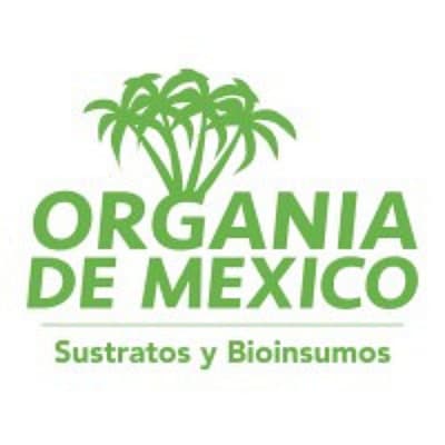 organia de mexico 400400