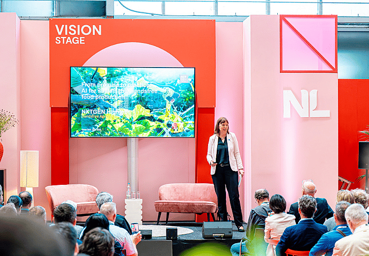 Vision stage session