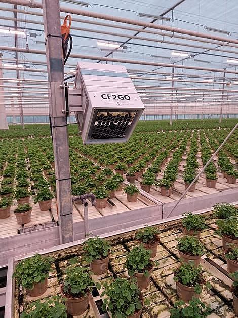 Phenovation-CF2GO