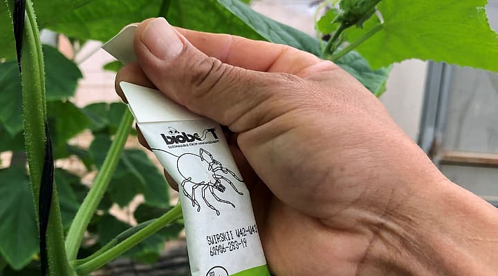 Biobest