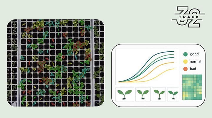Seedling trials