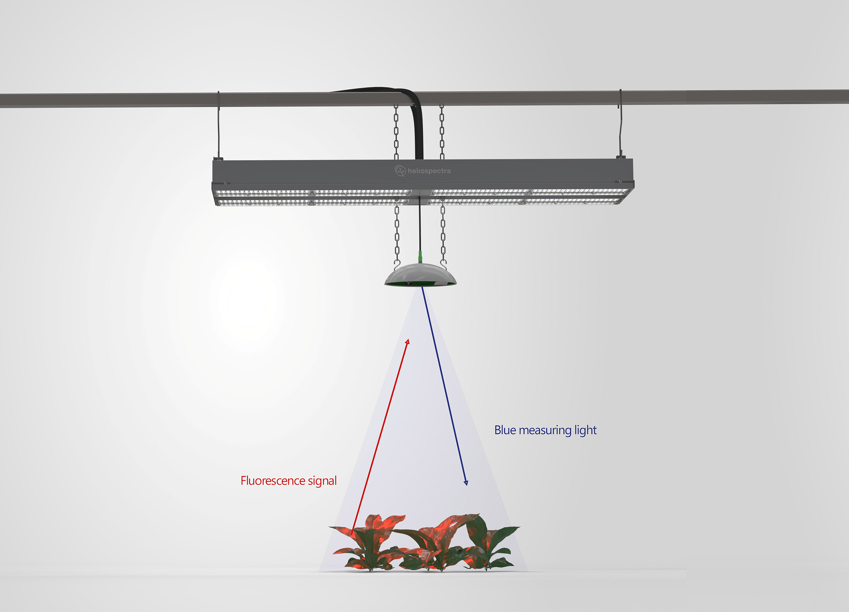 Optimal light helioSENSE