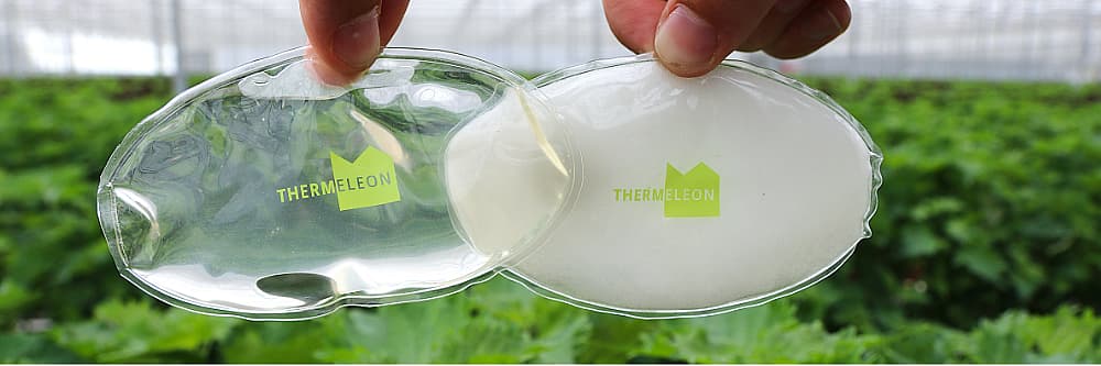 Thermeleon 1000 x 333 px