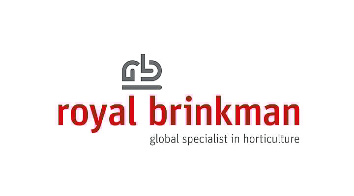 GRA-Royal Brinkman