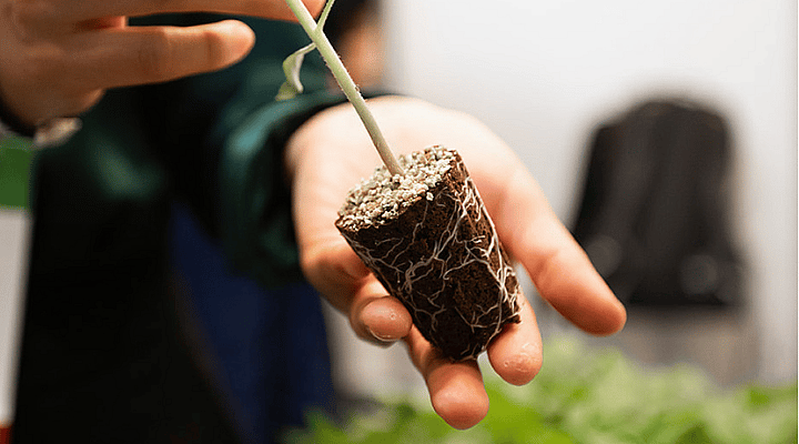 GreenTech Americas plant