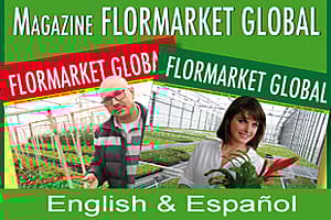 Logo Flormarket Global