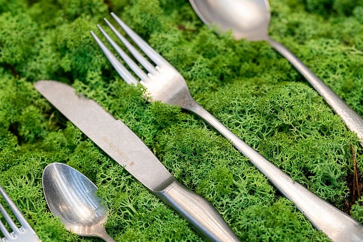 Vorken, messen en lepels liggen op een ondergrond van groen mos