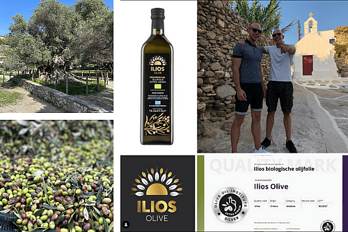Collage met beelden van Ilios Olive: een olijfboomgaard, een fles biologische olijfolie, de oprichters, geplukte olijven, het logo en kwaliteitskeurmerk