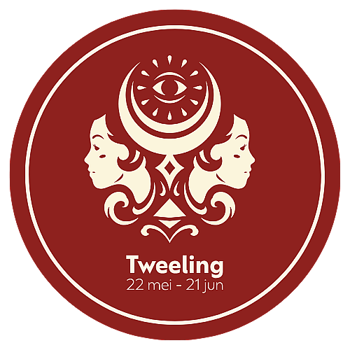 Afbeelding website Tweeling