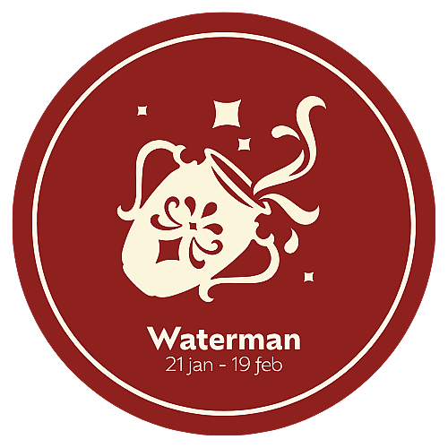 Afbeelding website Waterman