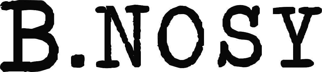 b-nosy logo