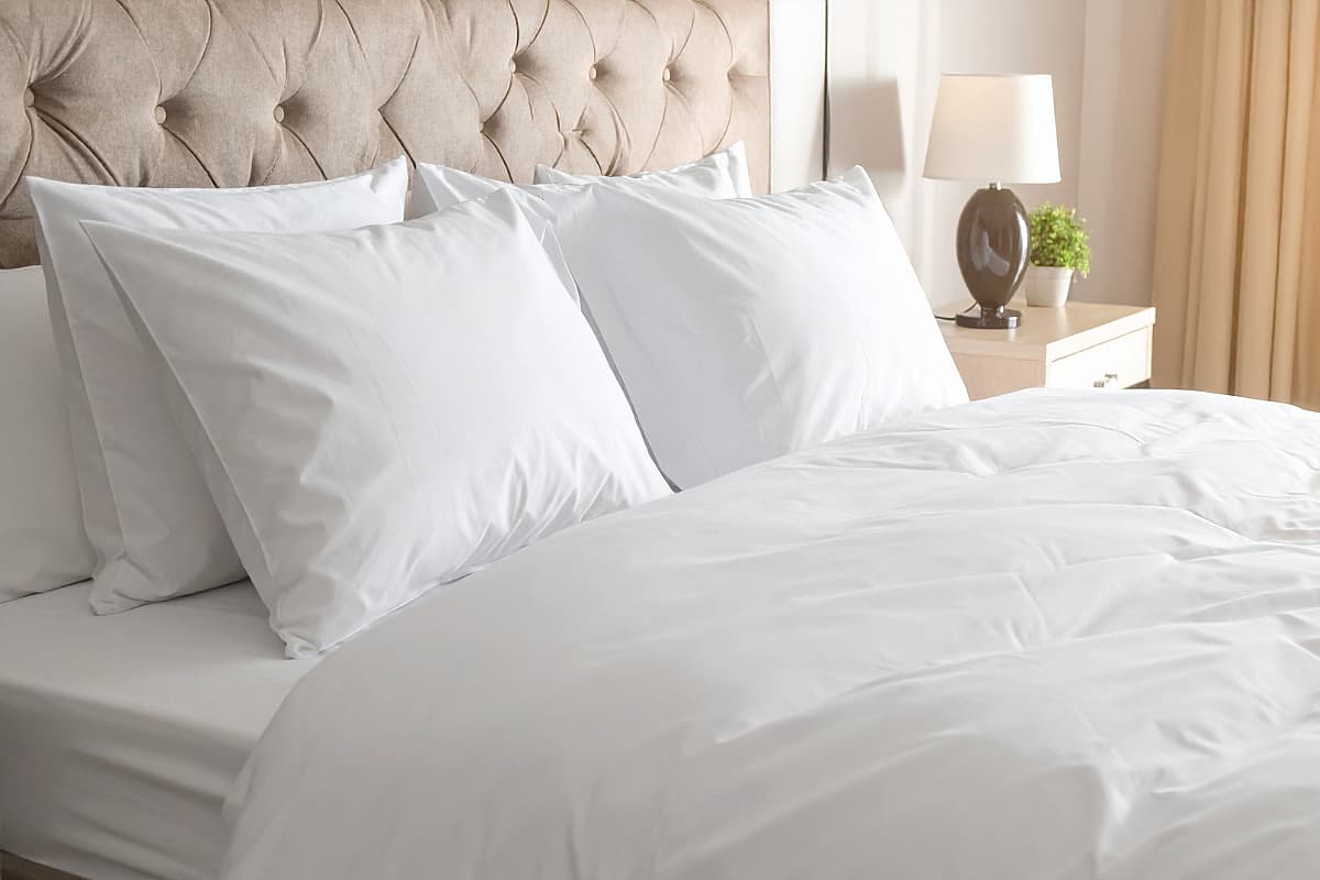 Hospitality Experience