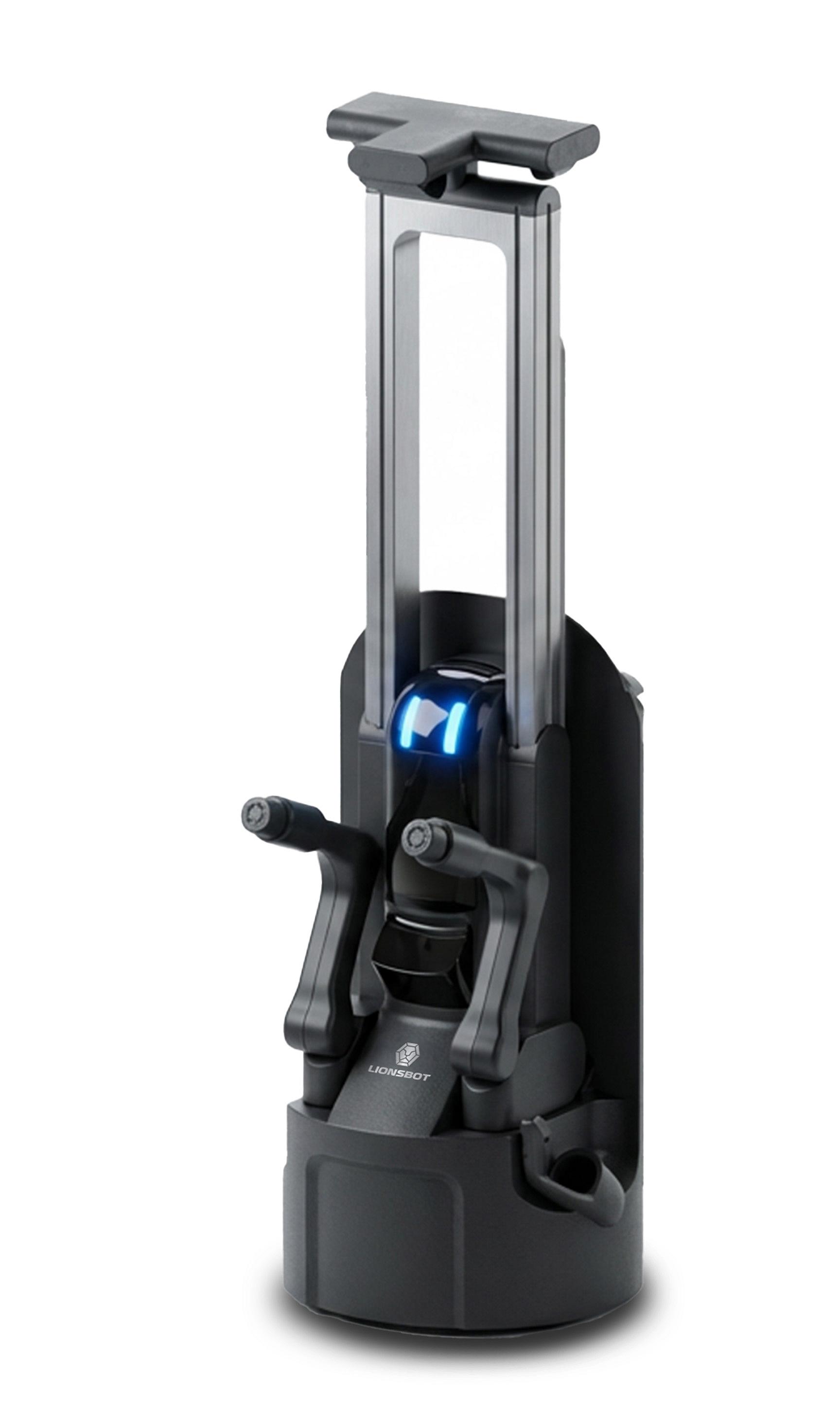 Lionsbot International T1