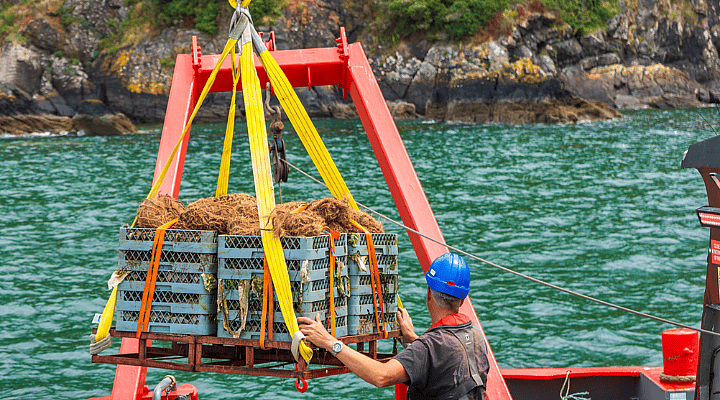 ocean-conservation-trust