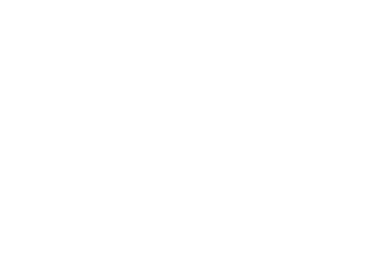 Boat-International - logo wit slider