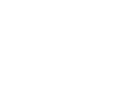 IBI - logo wit slider