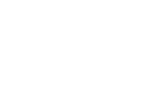 Nautech - logo wit slider