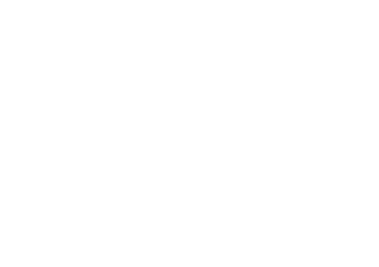 The-superyach-group - logo wit slider
