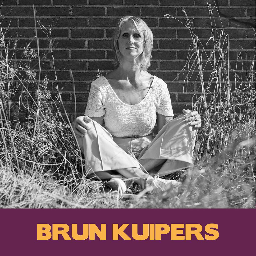 Brun Kuipers expertpagina 1.0