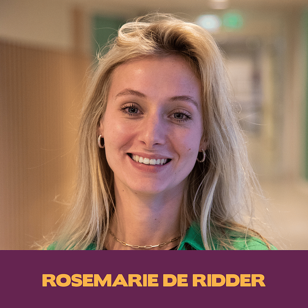 Rosemariederidder