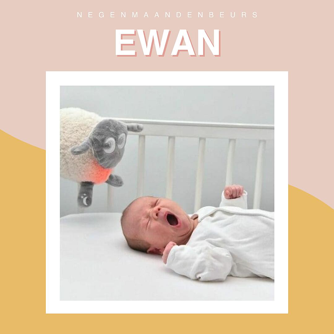 ewan