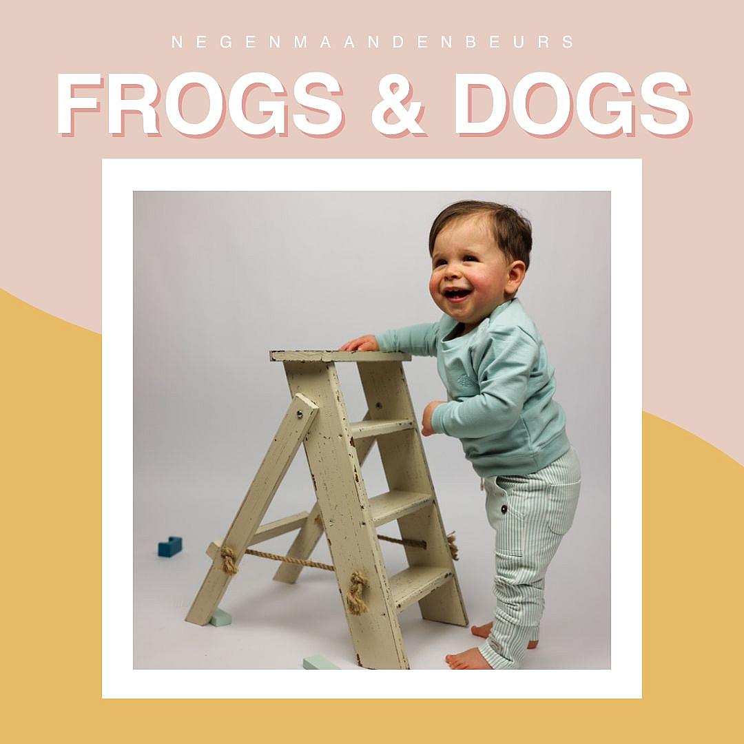 Frogs&Dogs