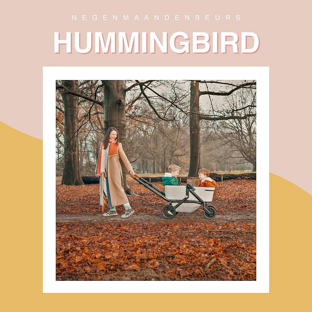 Hummingbird