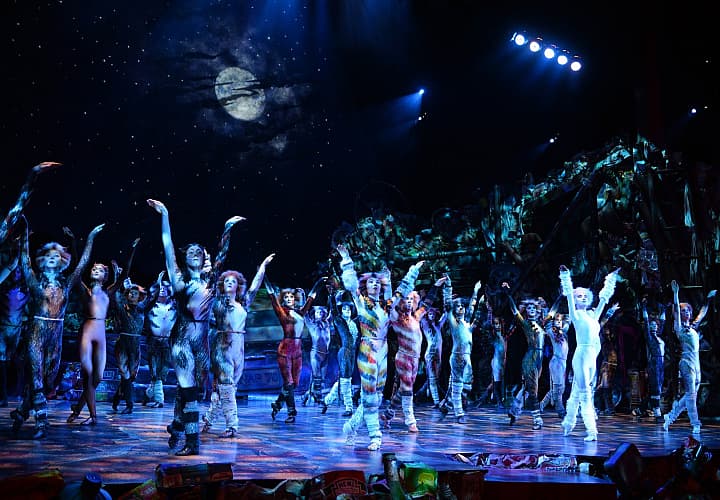 theater-cats