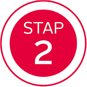 stap 2 invoeren kenteken