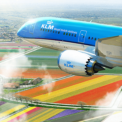 klm-dreamliner